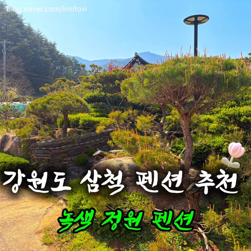 사진 2