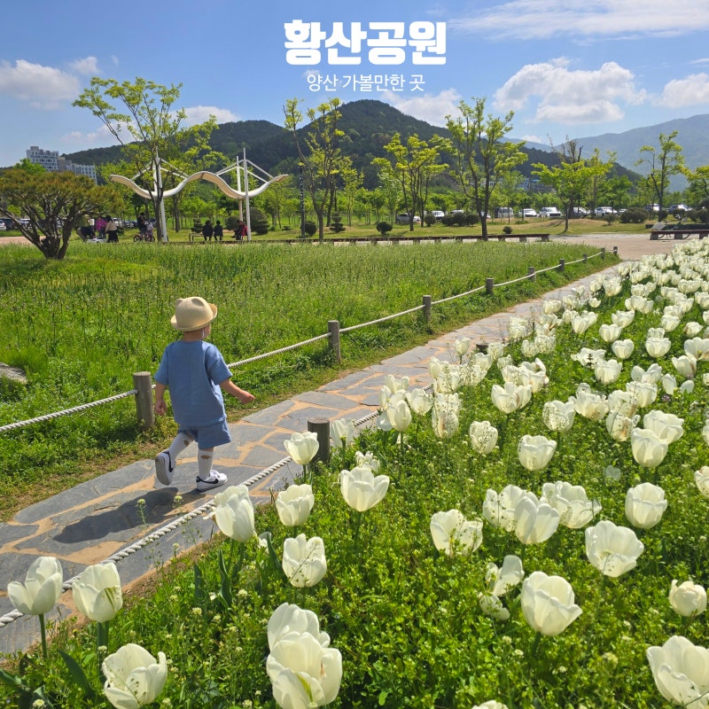 사진 7