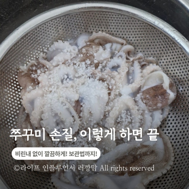 쭈꾸미 손질법부터 보관까지, 비린내 없이 오래 먹는 방법