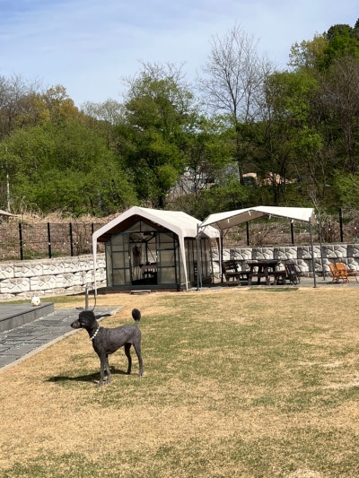 사진 5