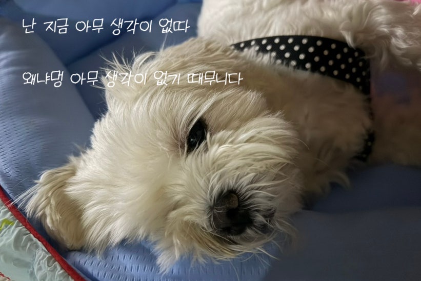 검단조개왕국 본점 사진 1