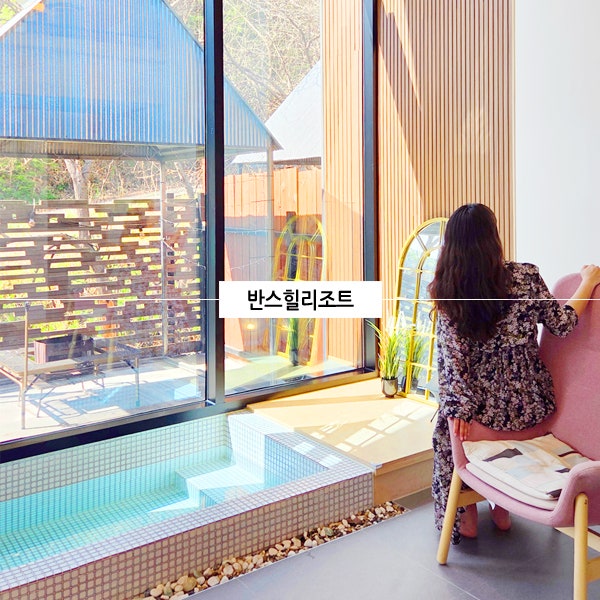 사진 10