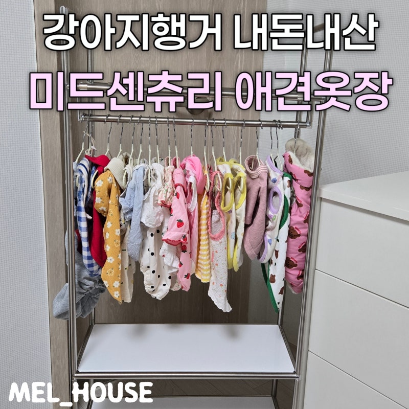 강아지 옷장 추천: 내돈내산 미드센츄리 모듈 예쁜 반려동물 행거