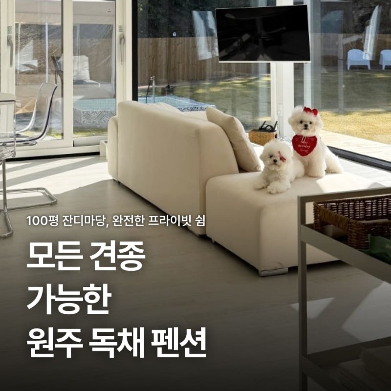 사진 4
