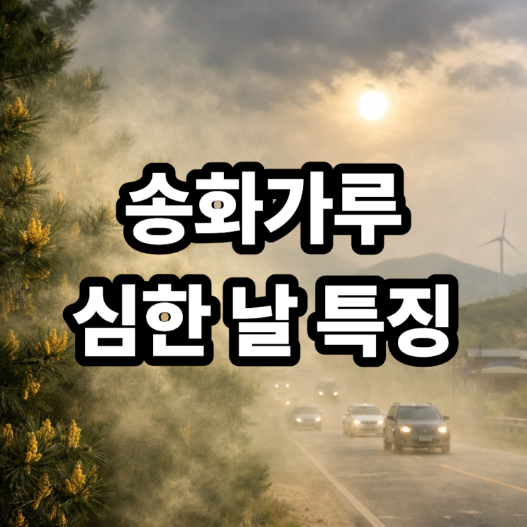  송화가루 심한 날 특징 총정리 ️ 날씨 패턴으로 미리 예측하는 방법