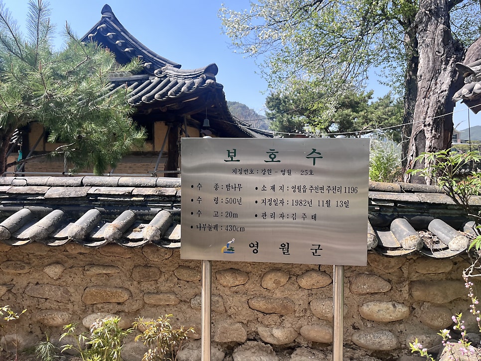 한옥카페조견당 사진 4
