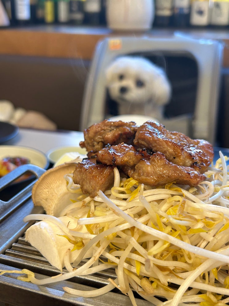  반려동물 동반가능, 콜키지 프리 전농동 고기맛집 <화성옥 2호점>
