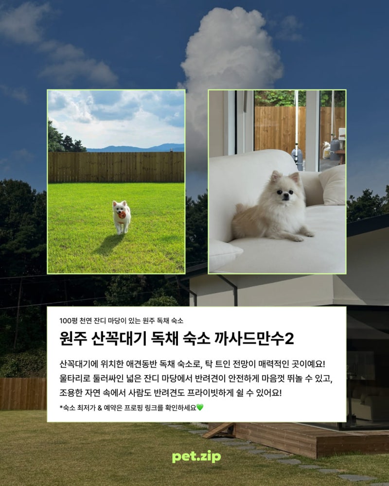사진 5