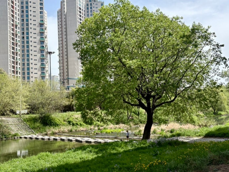  강남 사주 잘보는곳 철학관 추천 결혼 궁합 GPT 다름