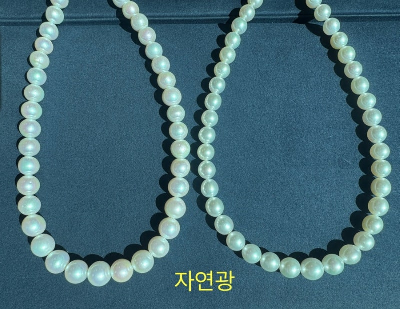 진짜진주 vs 가짜진주 구별법/ 해수진주 vs 담수진주 구별법 정리