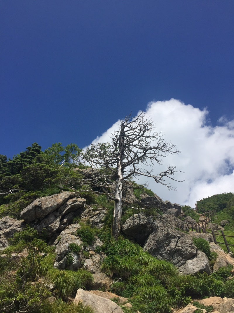 ⛰️ 지리산 천왕봉 최단코스 중산리 + 순두류 버스로 가장 효율적인 코스