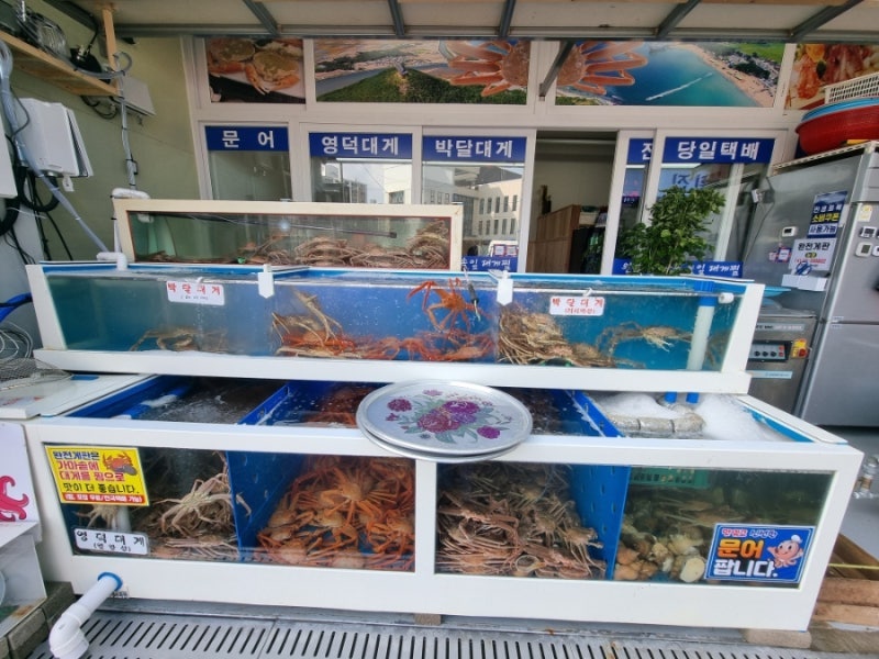 완전게판 사진 2