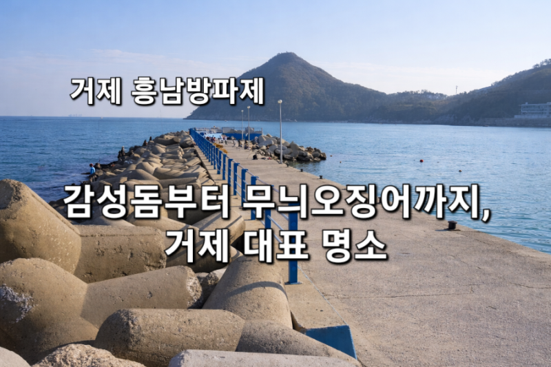 거제 흥남방파제 낚시 포인트 총정리 : 감성돔부터 무늬오징어까지, 거제 대표 명소