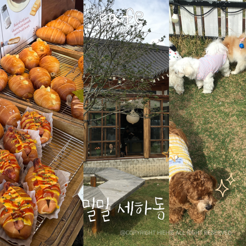 밀밀 세하점 — 서구