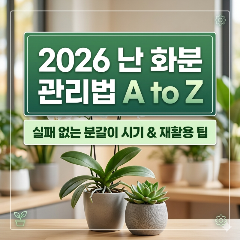 죽어가는 난 살리는 법: 2026년식 난 화분 관리 및 분갈이 시기