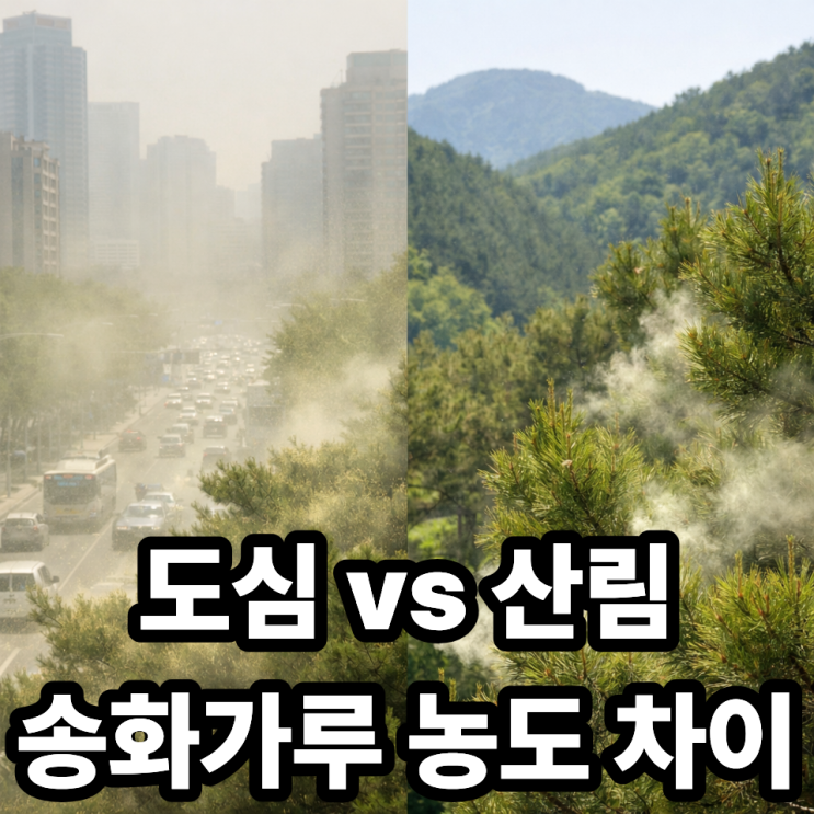  송화가루 지역별 농도 차이  도심 vs 산림 어디가 더 심할까?