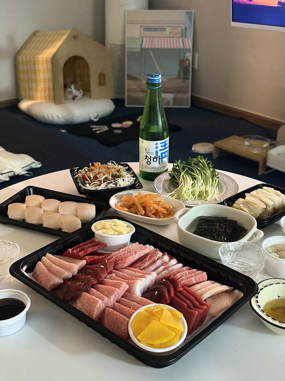 선참치 사진 1