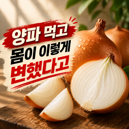 양파 효능 10가지 총정리 (+부작용, 혈압·다이어트 변화 후기)