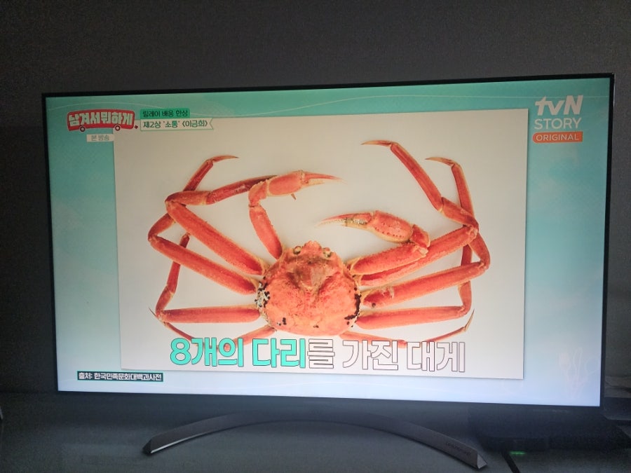 완전게판 사진 5