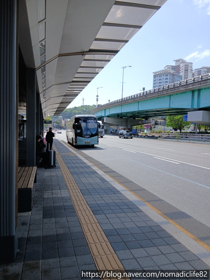 울산 ↔ 김해공항 리무진 버스 시간표 & 요금 총정리 (2026년 최신)