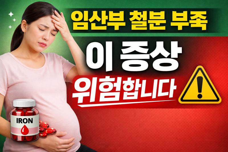 임산부 철분 부족 증상과 위험성｜출산 후 과다출혈까지 꼭 확인하세요