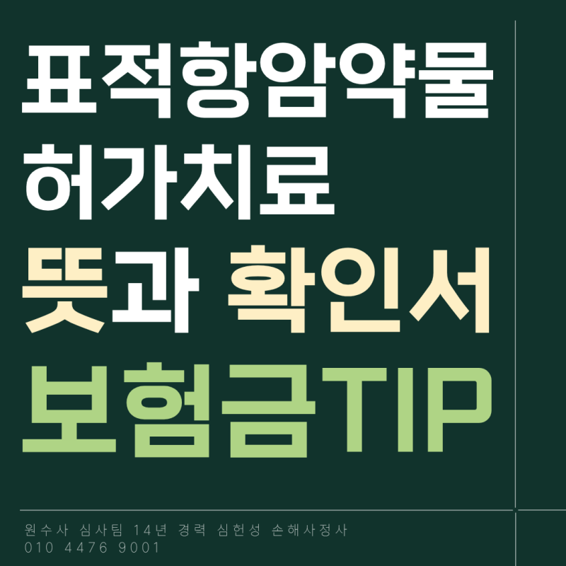 표적항암약물허가치료란 뜻과 확인서 보험금 쟁점 TIP