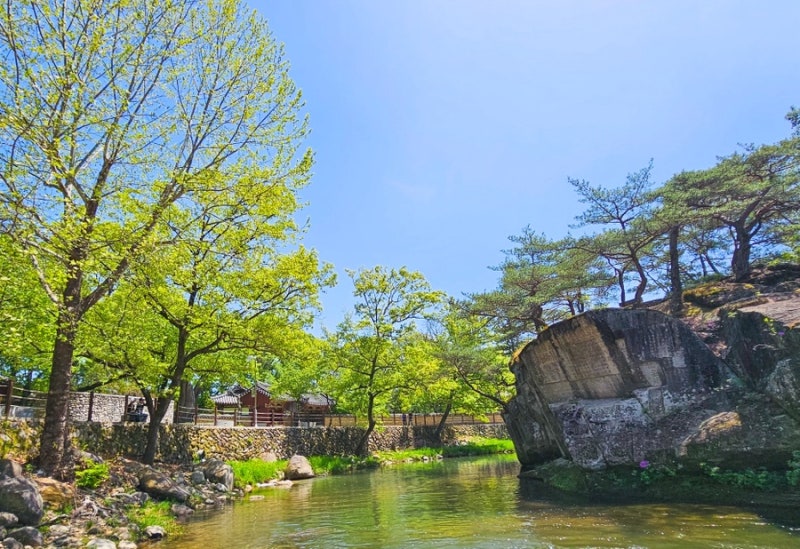 사진 5