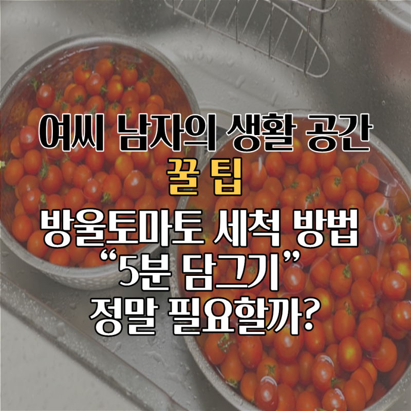 방울토마토 세척 방법 “5분 담그기” 정말 필요할까? 물 세척만으로 충분한지 궁금했어요