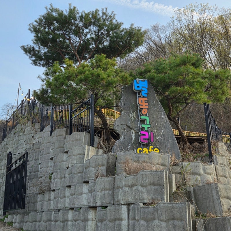 사진 10