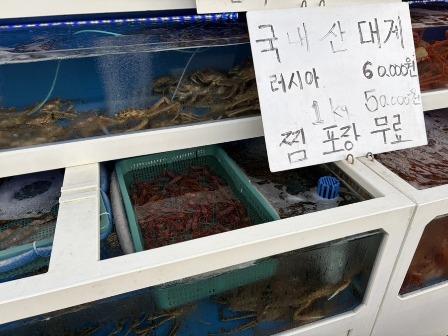 대게나라 사진 6