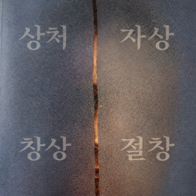 상처 · 자상 · 창상 · 열상 · 절창 뜻과 차이 정리/ 구병모 소설, 을 읽기 전에