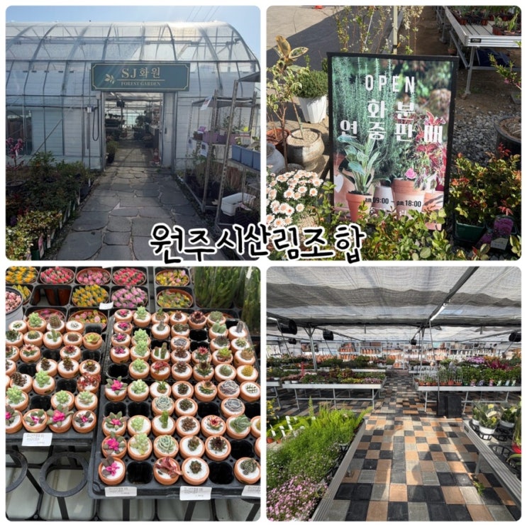  원주가볼만한곳 "원주시산림조합" sj화원, 가드닝샵