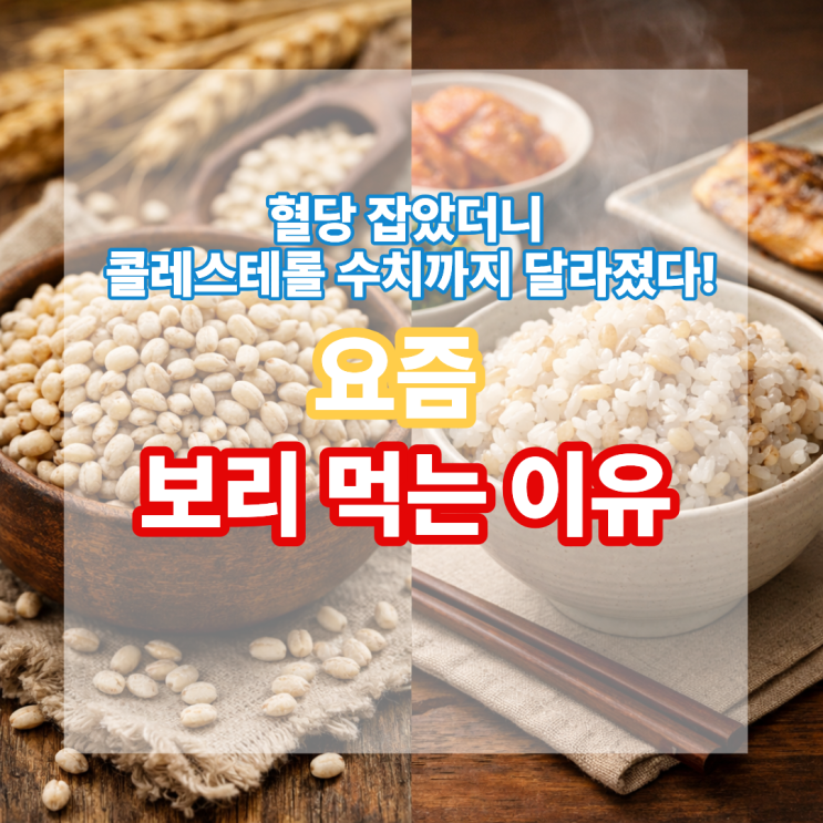  혈당 잡았더니 콜레스테롤 수치까지 달라졌다! 요즘 보리 먹는 이유