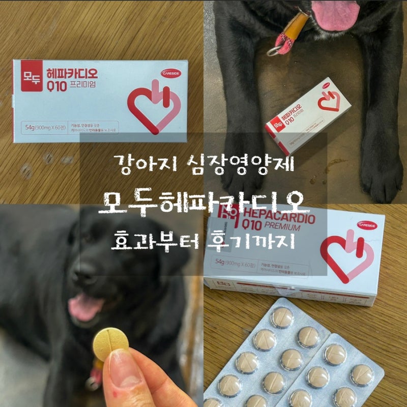 우리 강아지 심장때문에 시작한 케어사이드 모두헤파카디오 후기