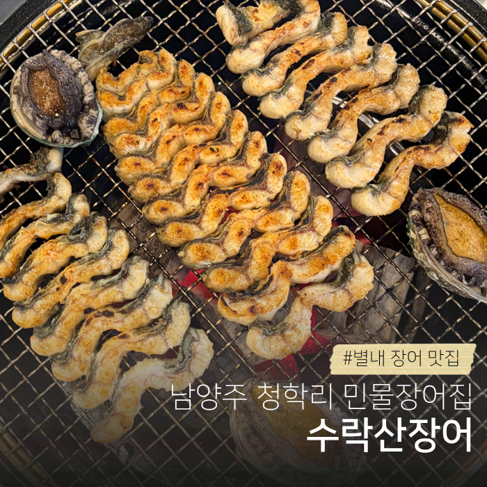 수락산장어 사진 1