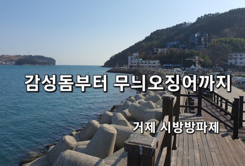 거제 시방방파제 낚시 포인트 총정리 : 무늬오징어·감성돔·생활낚시까지 한번에