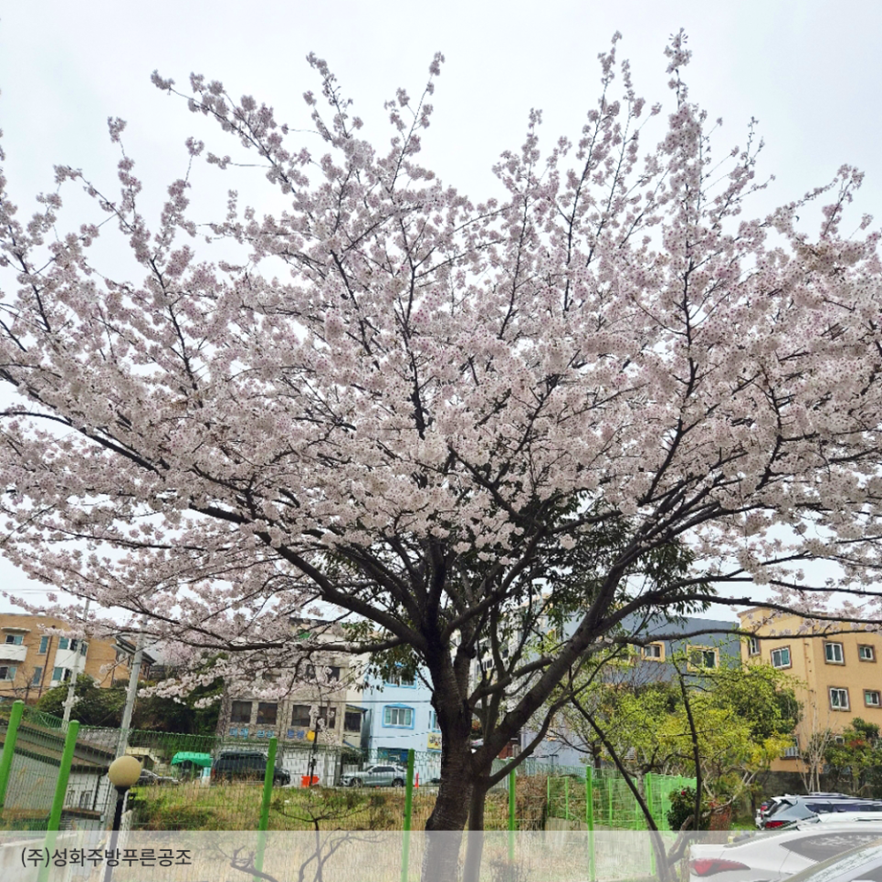 올바른정형외과의원 사진 2