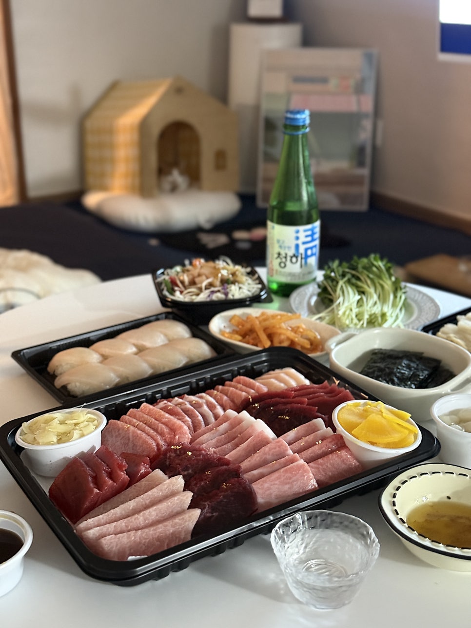 선참치 사진 2