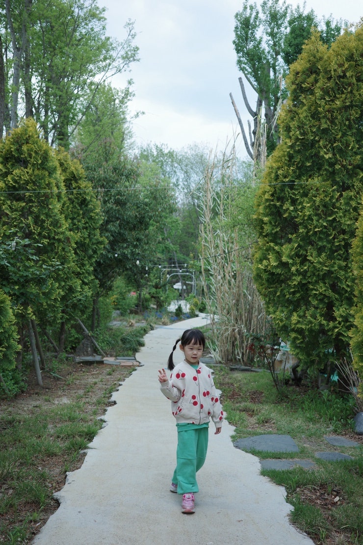 사진 6