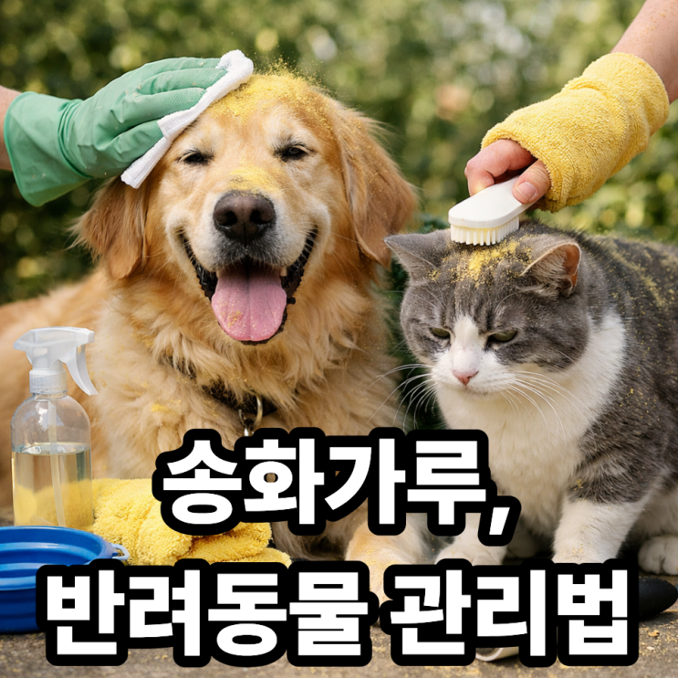  송화가루 반려동물 관리법 (산책 후 필수 체크!)  알레르기부터 위생까지 한 번에 정리