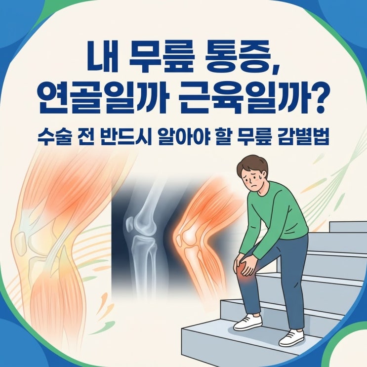  무릎 통증 원인 연골 파열 근육 뭉침 감별, 계단 오르내릴 때 무릎 아픔 퇴행성 관절염 한의원