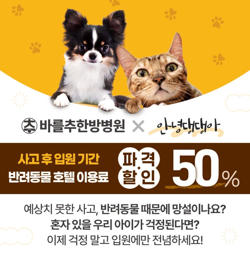 사진 6