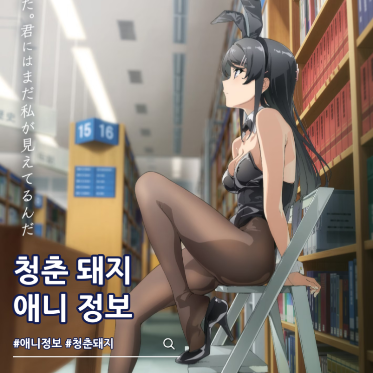  청춘 돼지는 디어 프렌드의 꿈을 꾸지 않는다 개봉일 마이 비주얼