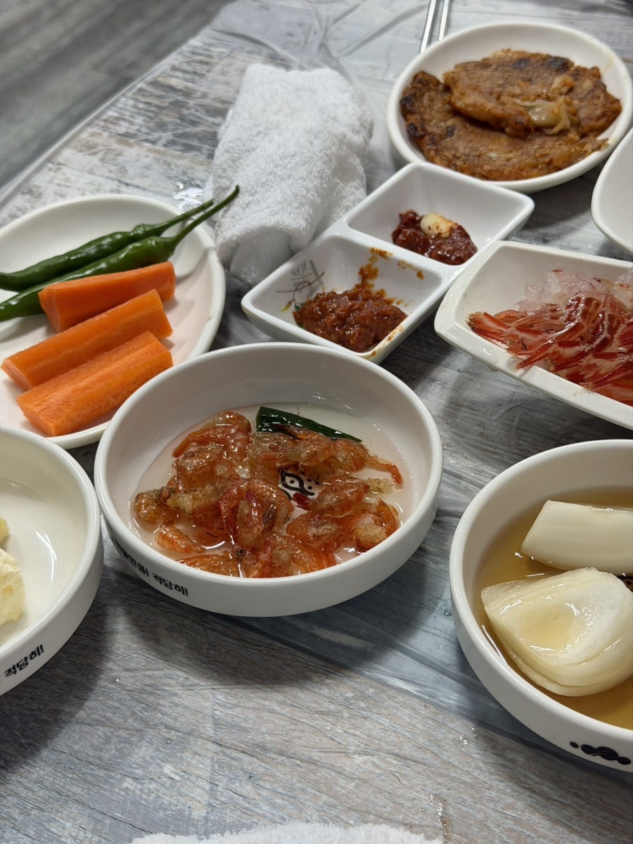 울릉도꽃새우 사진 2