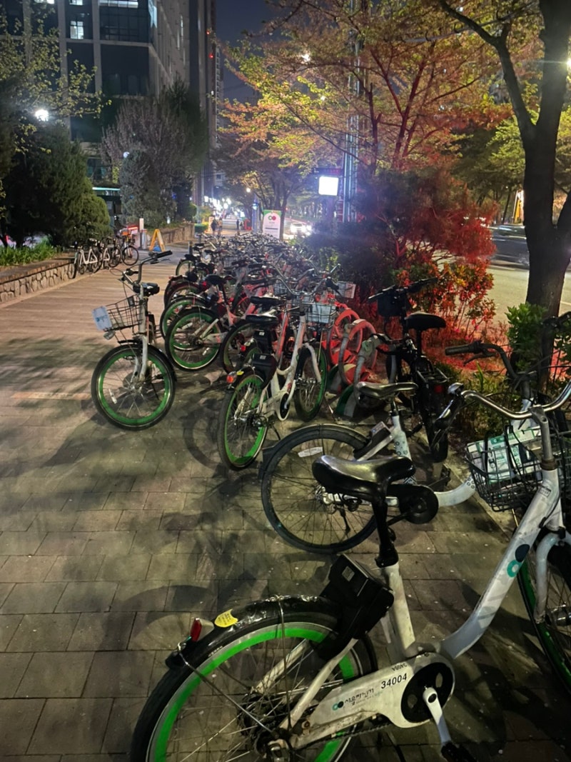기후동행카드 따릉이 등록 방법: 티머니GO 연결로 서울 어디든 무료 라이딩 (아이폰/실물카드....