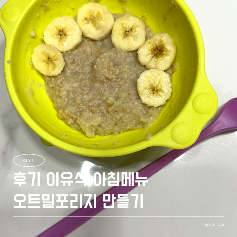 9개월 아기 후기 이유식 오트밀포리지 아침메뉴 추천