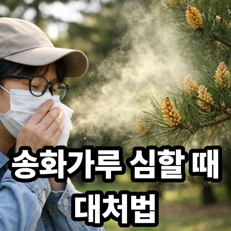  송화가루 심할 때 대처법 총정리  알레르기 줄이는 생활 꿀팁
