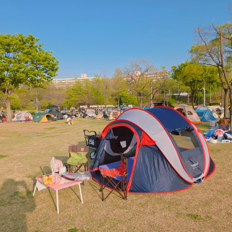  반포한강공원텐트 돗자리 대여 업체 추천 낭만소풍피크닉 그늘막 설치 허용 구간 규정