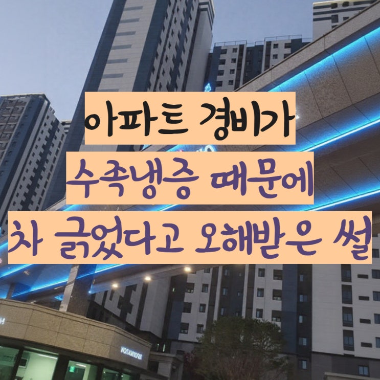  손발차가움 원인 상상도 못했다 약국에서 찾은 인생 약  공유해요