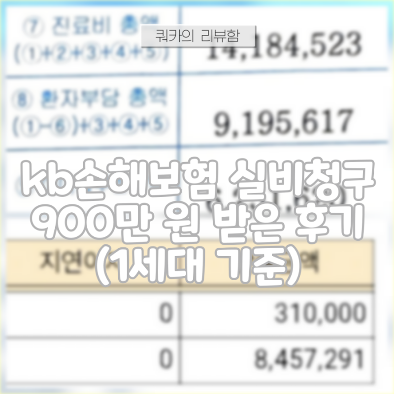 kb손해보험 실비청구 900만 원 받은 후기(1세대 기준)